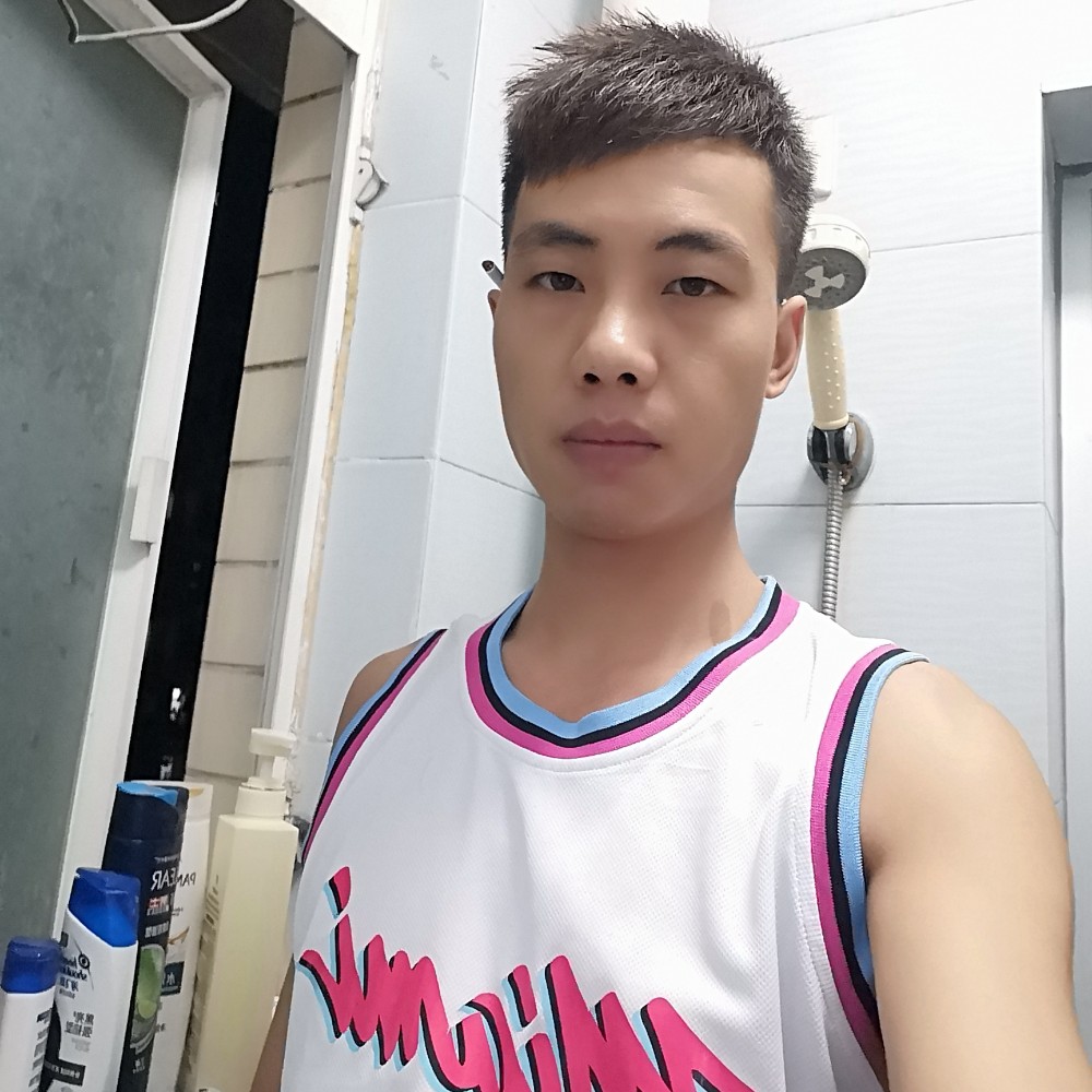 刺猬俭朴的照片