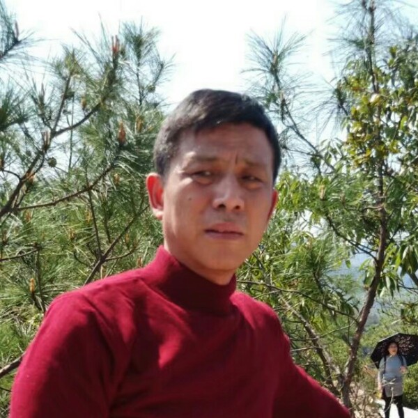 心语淡言的照片
