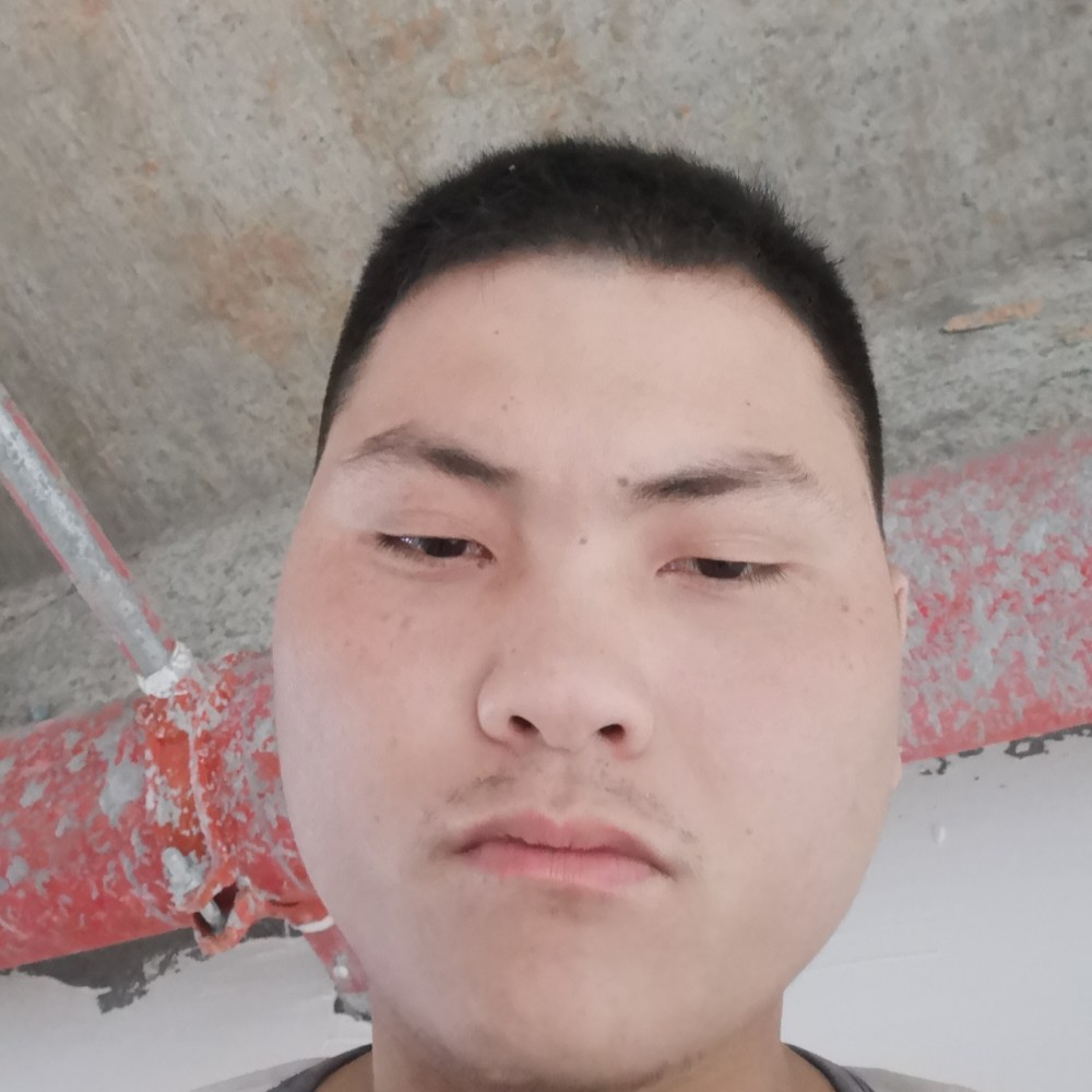 舒荷清脆的照片