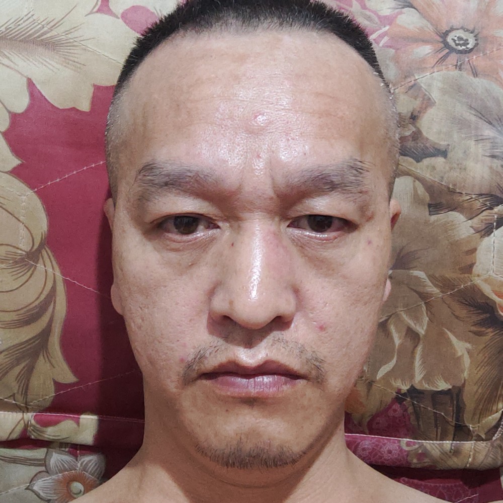 岁岁年年柿柿红的照片
