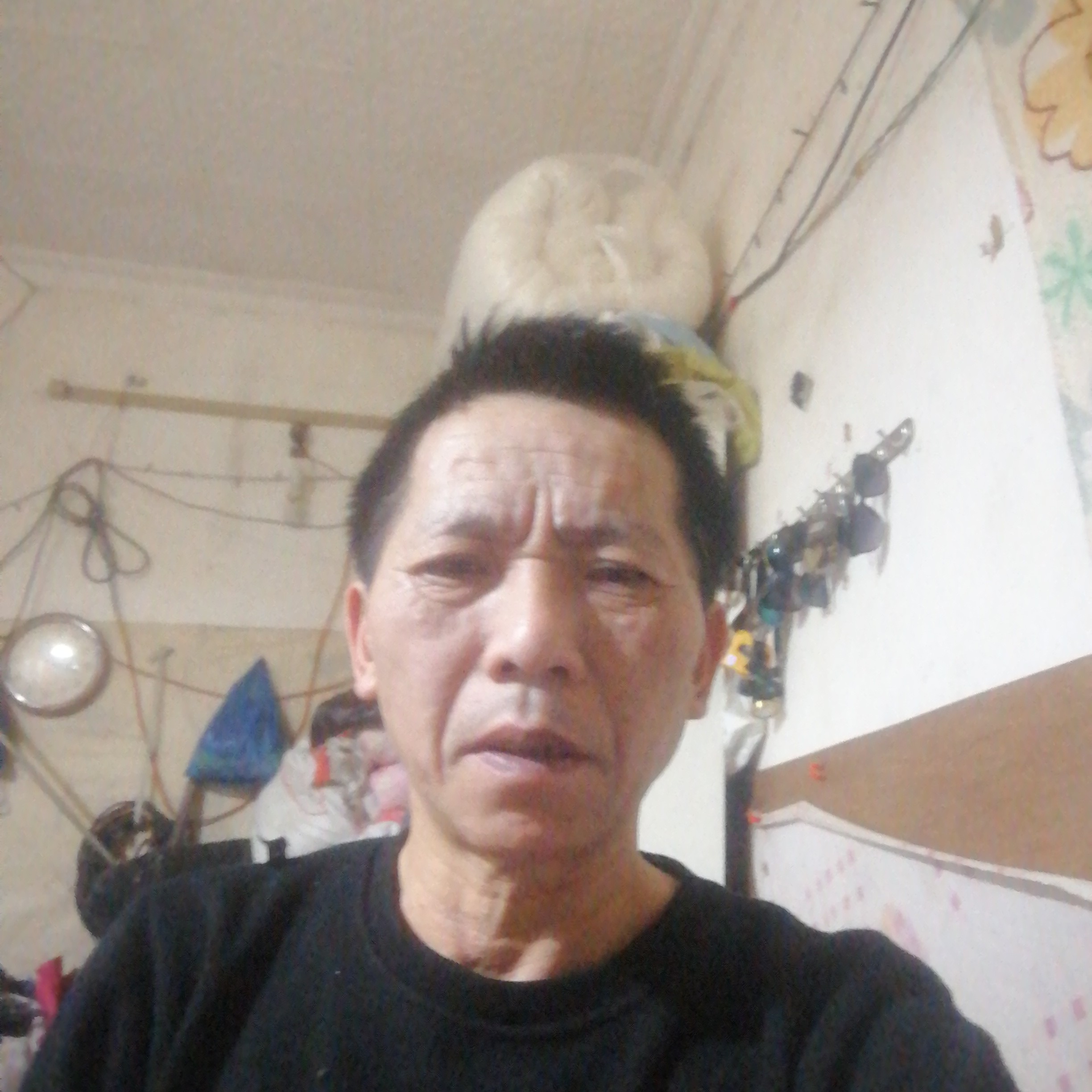 板凳吃醋美丽的照片