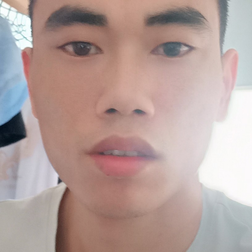 sd小车的照片