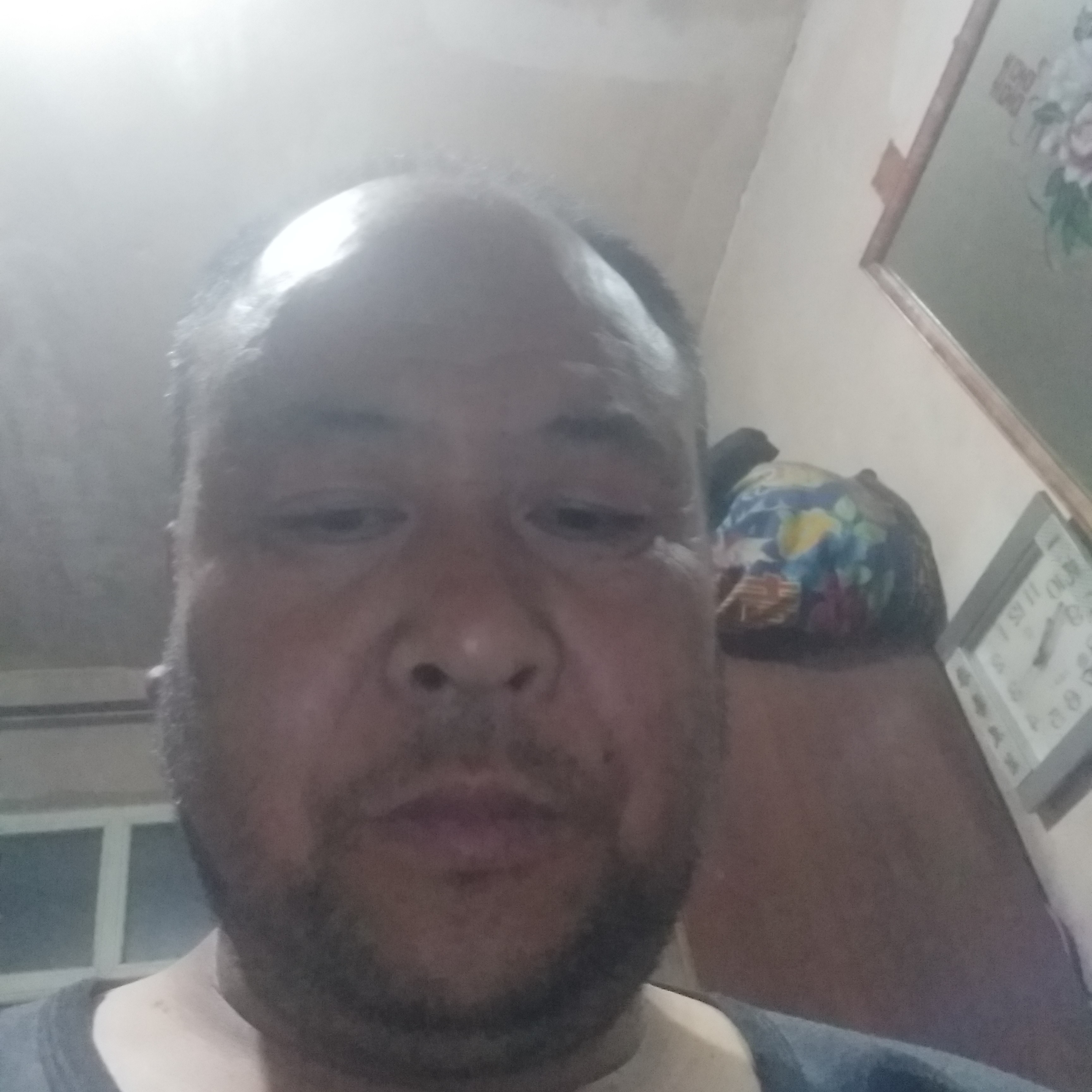 忠实厚道的照片