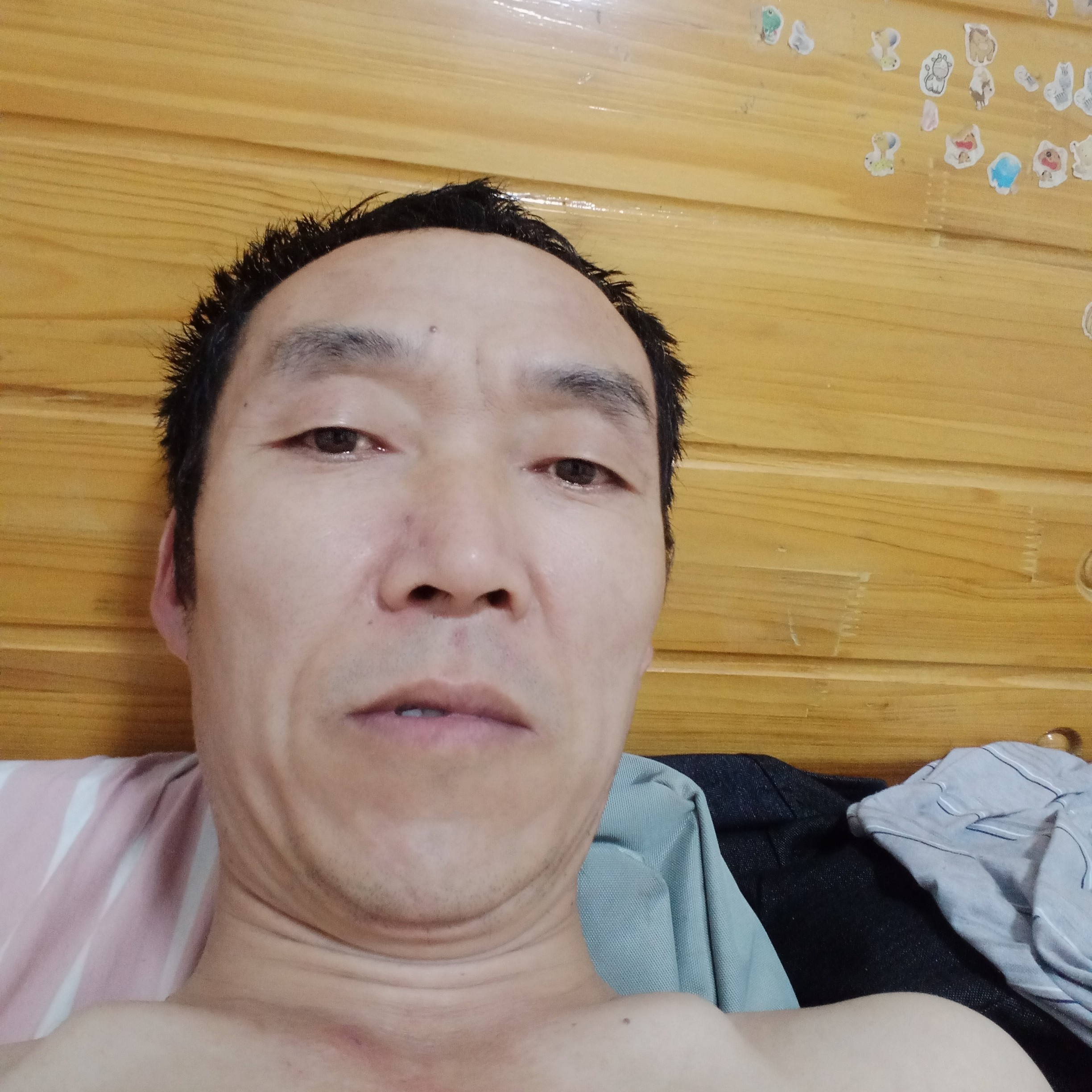 柔弱的康乃馨的照片