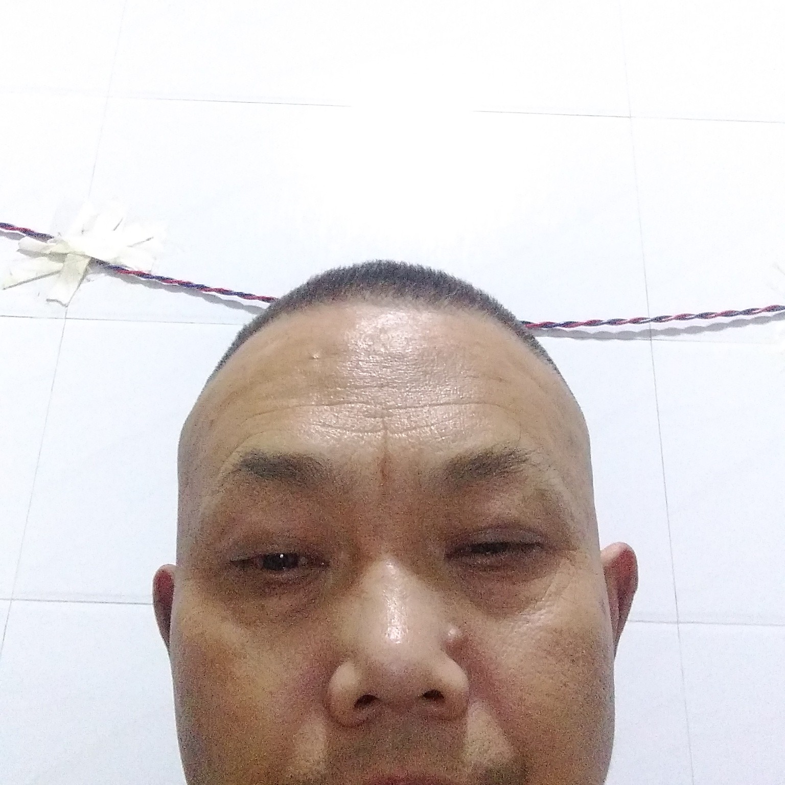 哈密瓜回眸落拓的照片