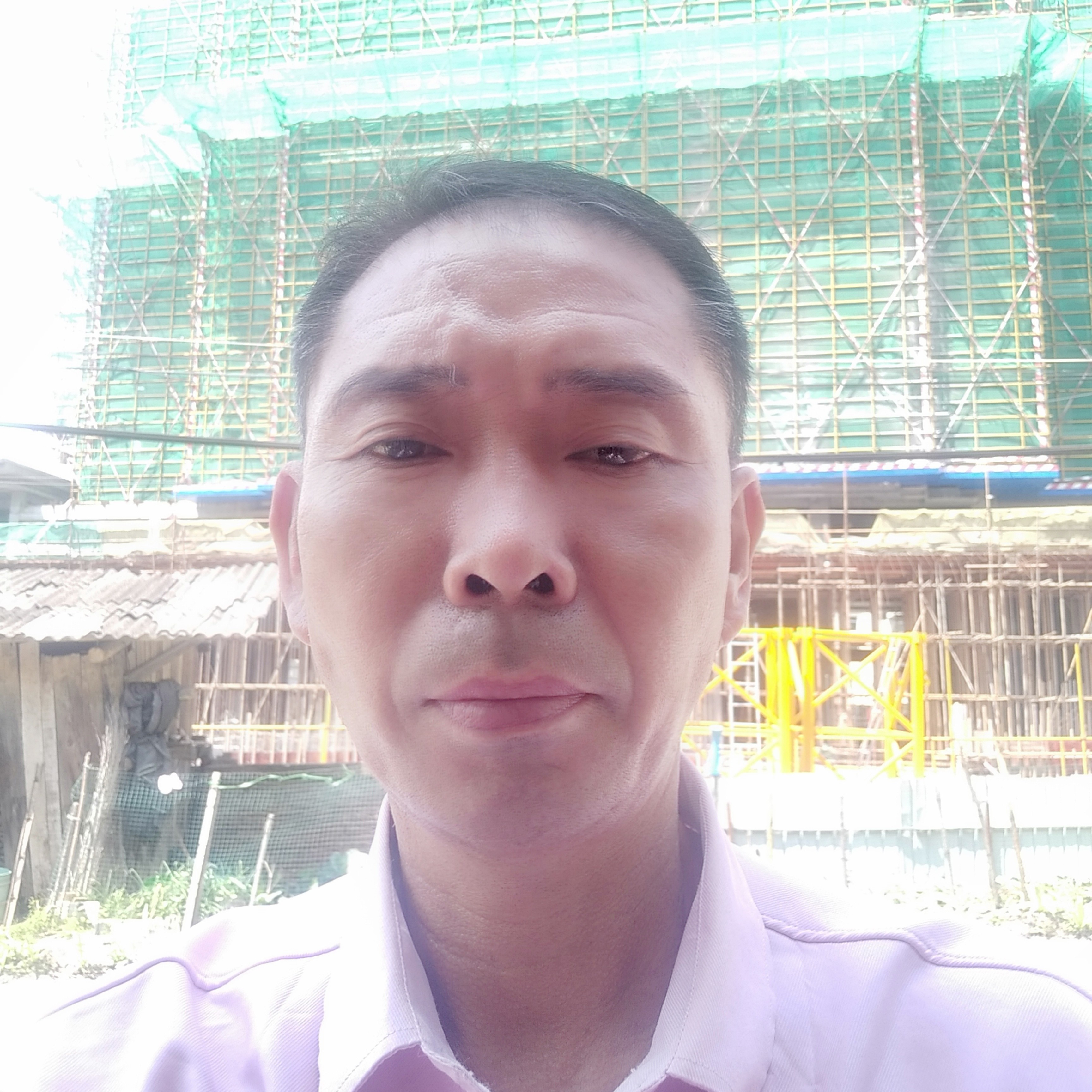 幽默回眸黄蜂的照片