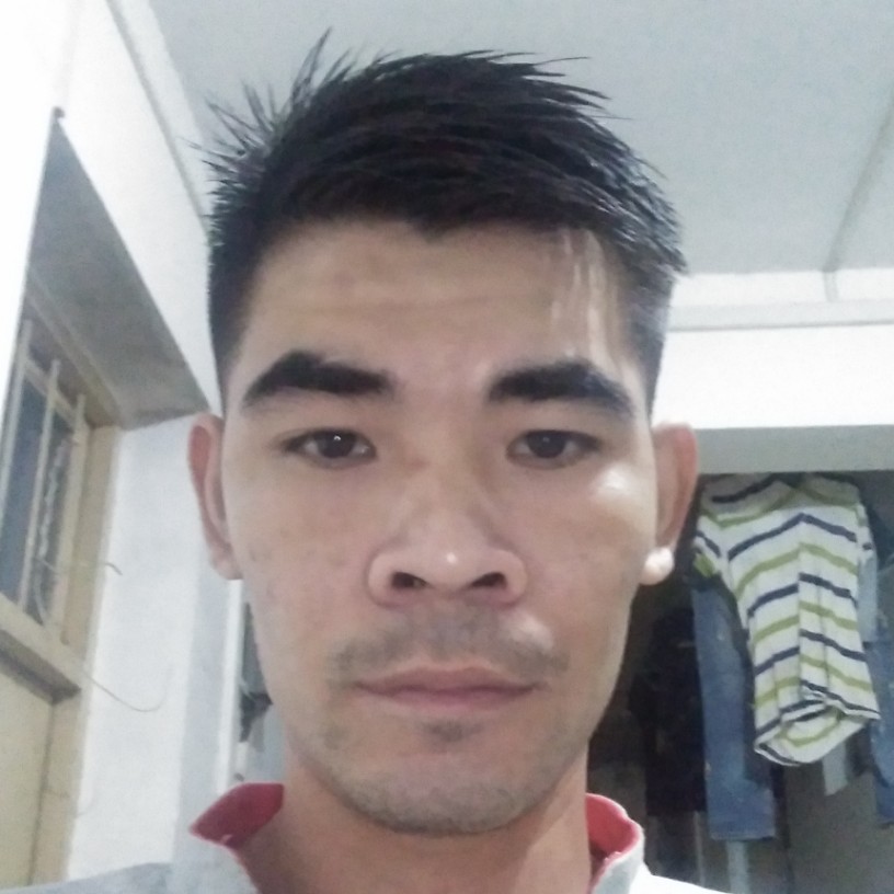 忘忧苦的照片