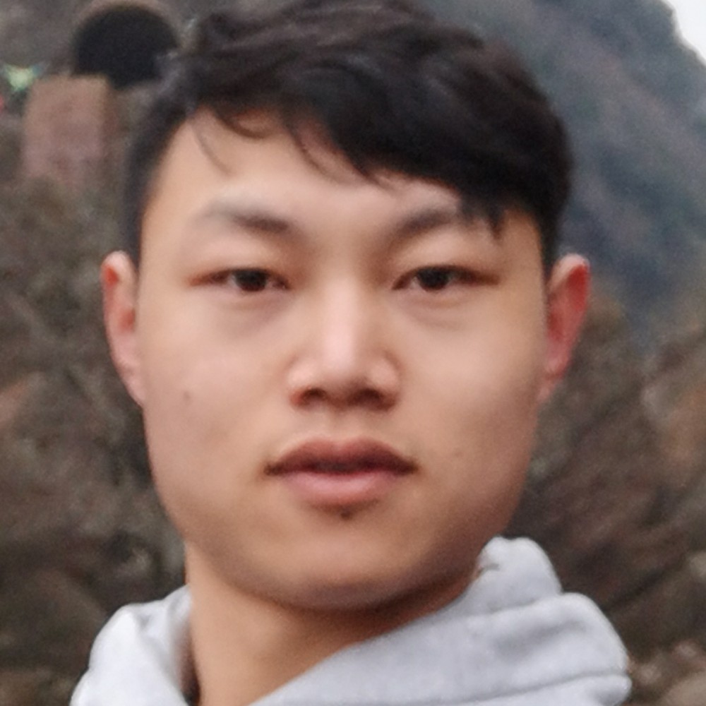 会飞的丁丁猫的照片