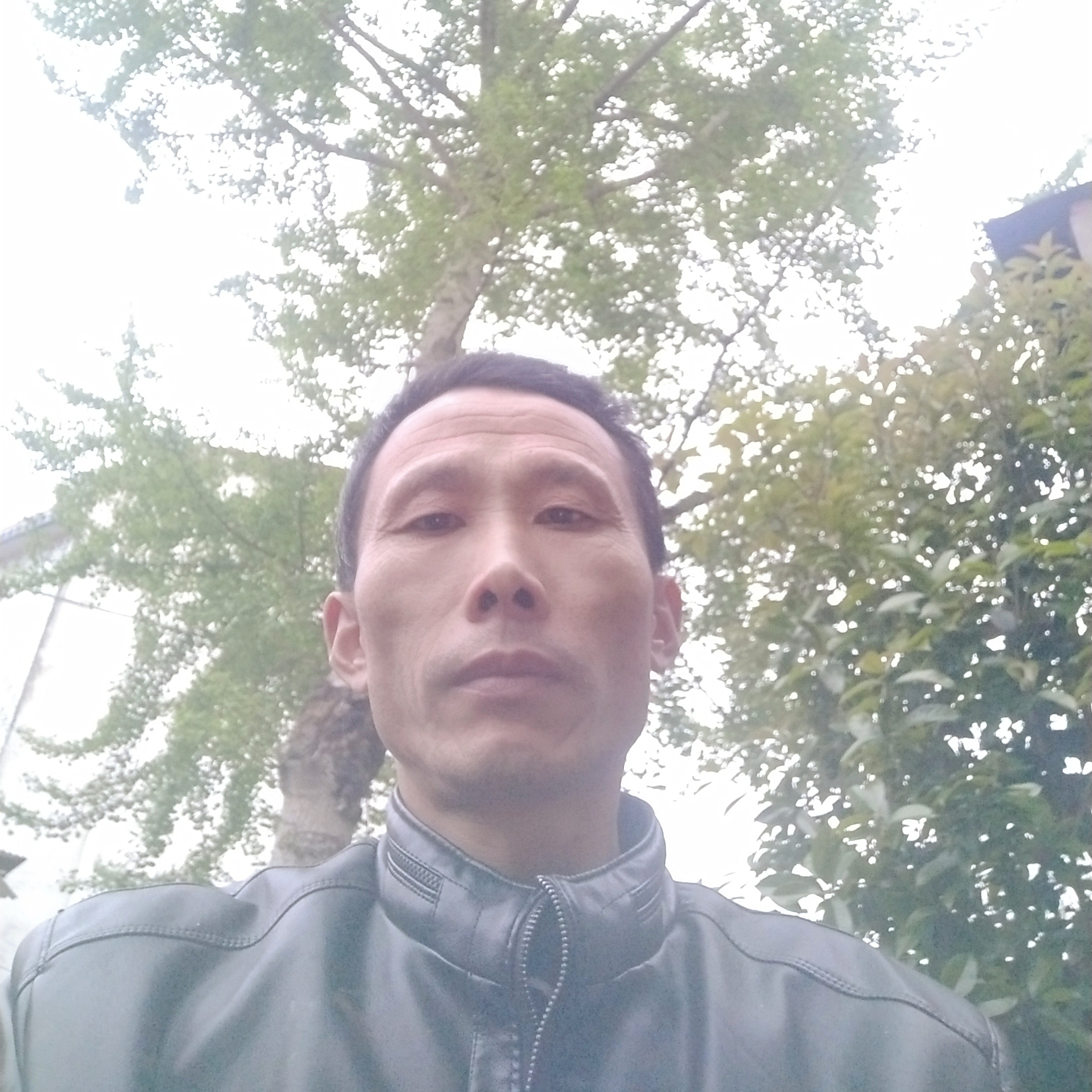 心岛等待虚心的照片