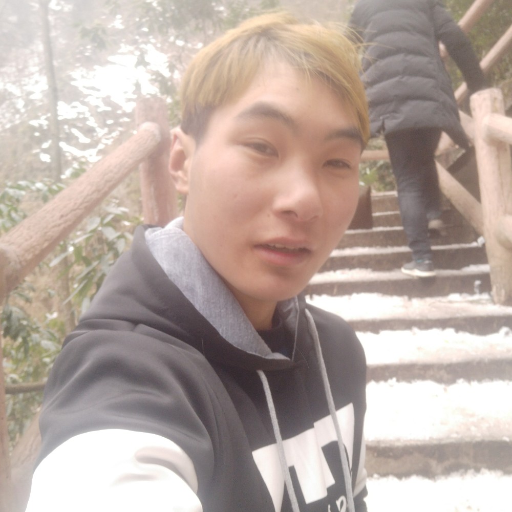 冰雪狼的照片
