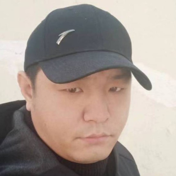 羽毛秀丽的照片