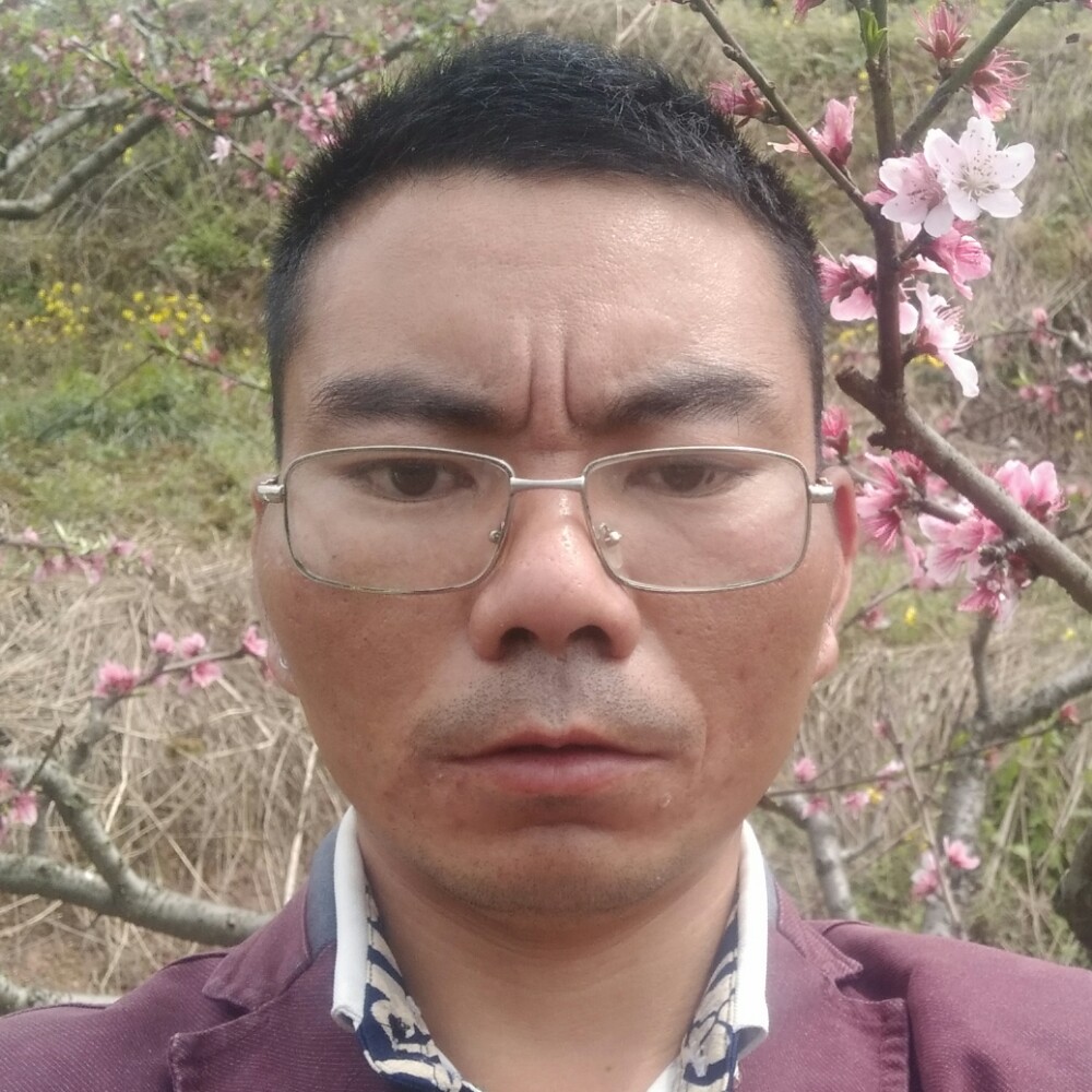 纸鹤倾心缠绵的照片