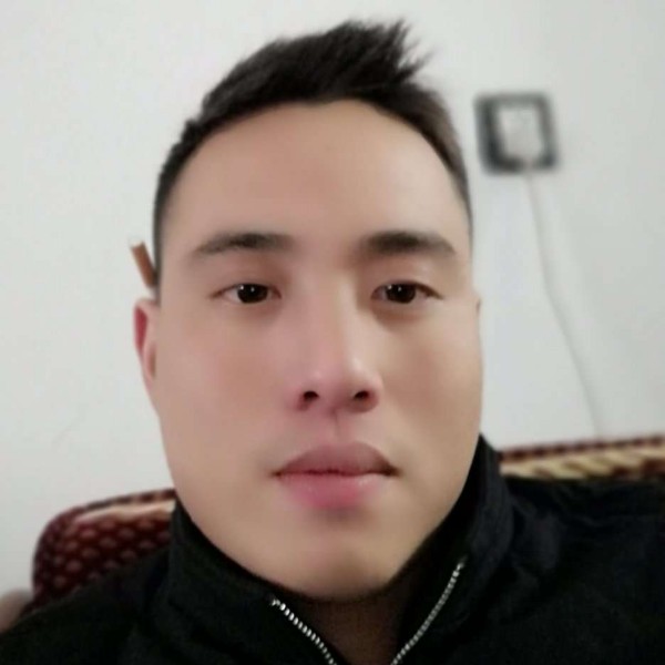夜，猫子的照片