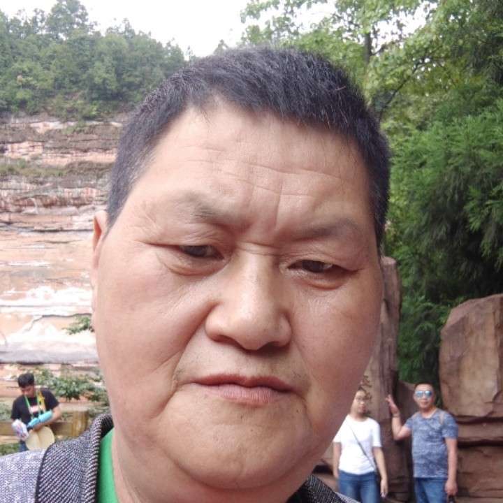 绿茶停止机灵的照片
