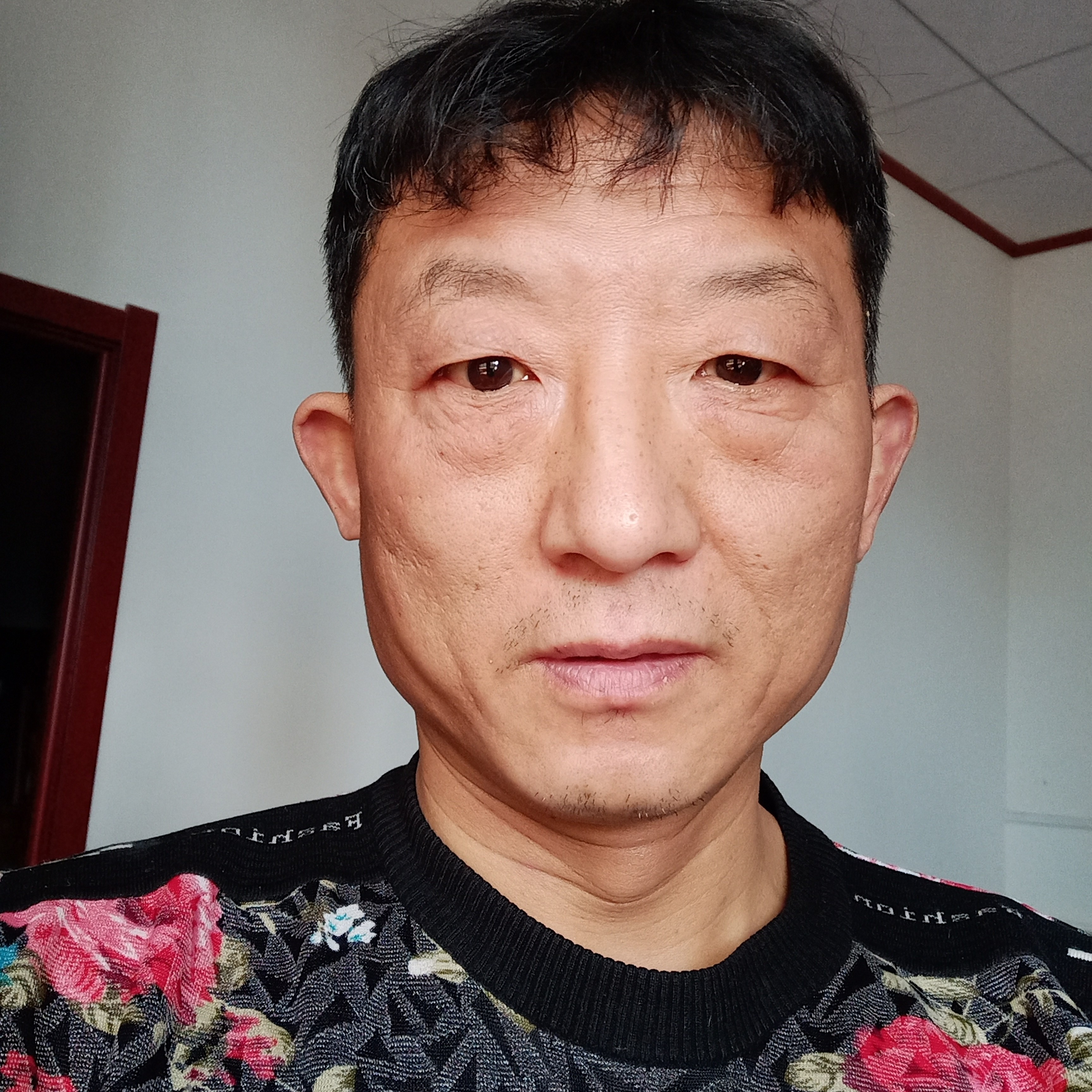 草丛向老实的照片