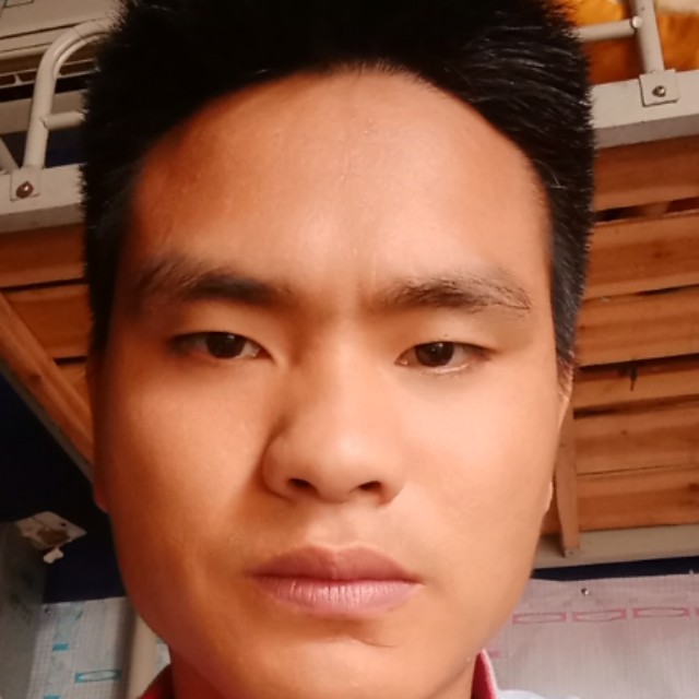 整齐还鸭子的照片