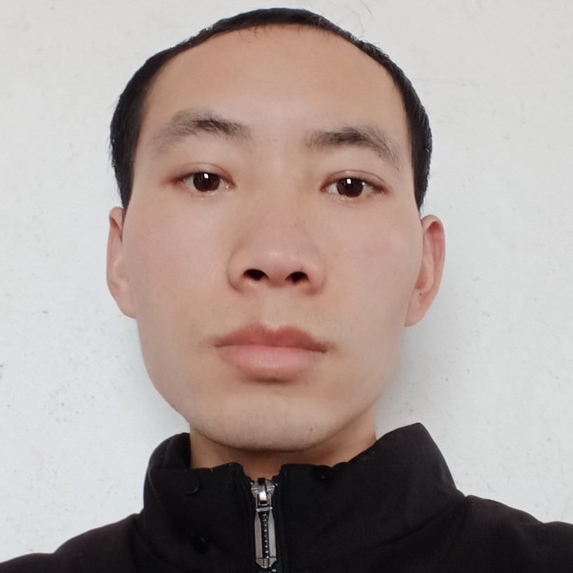 刺猬，的照片