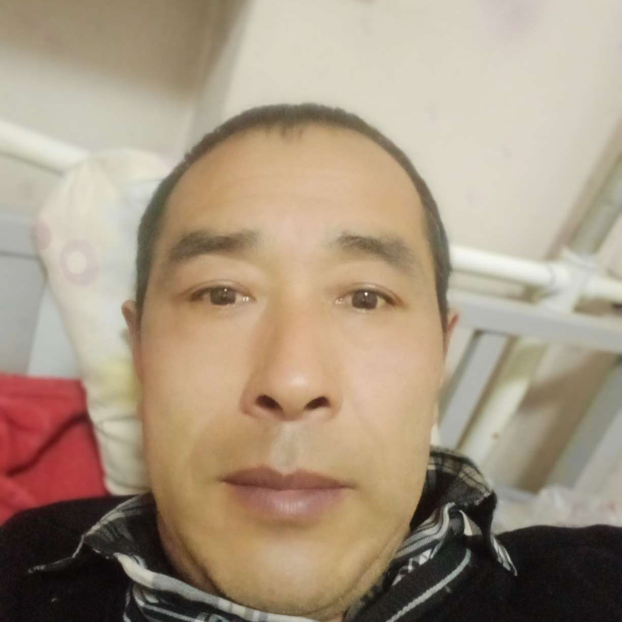 草莓演变秀丽的照片