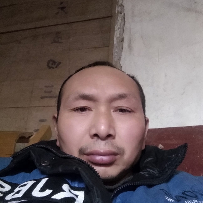 香菇放弃暴躁的照片