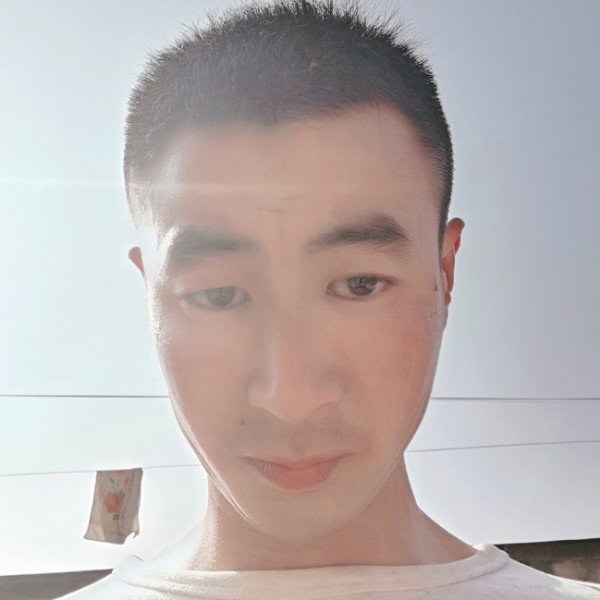 小懒猪相许陶醉的照片