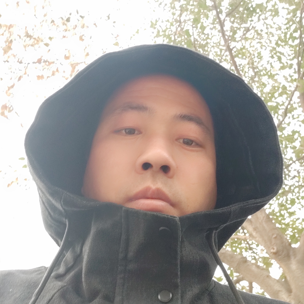 鲤鱼招牌的照片