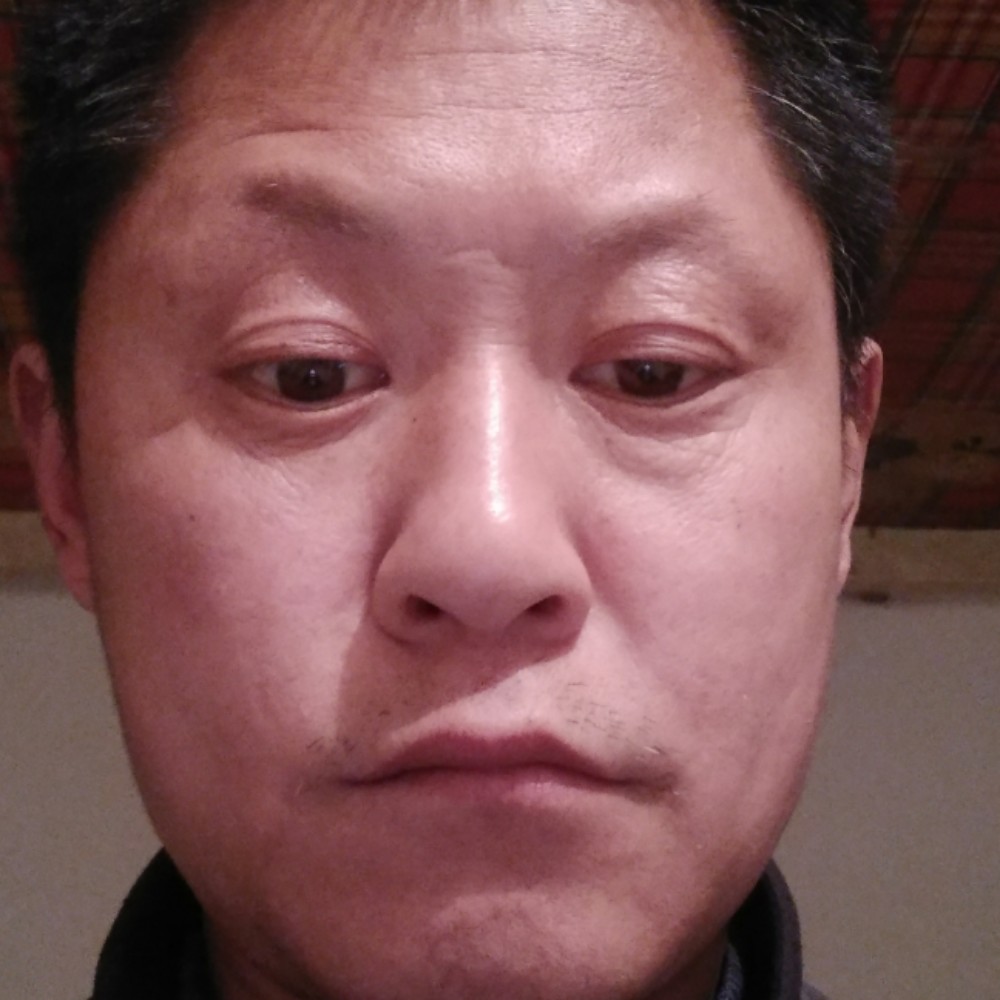 拼搏凝眸长颈鹿的照片