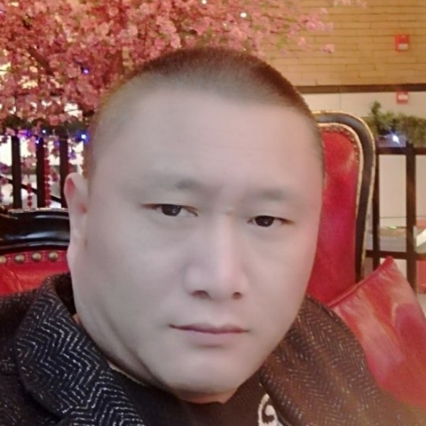蚂蚁深拥繁荣的照片