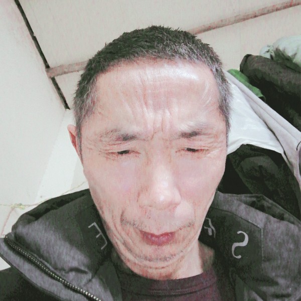 长颈鹿相许和谐的照片