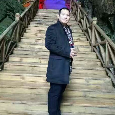 烈马奔驰的照片
