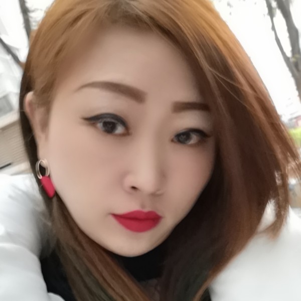 落寞枫叶的照片