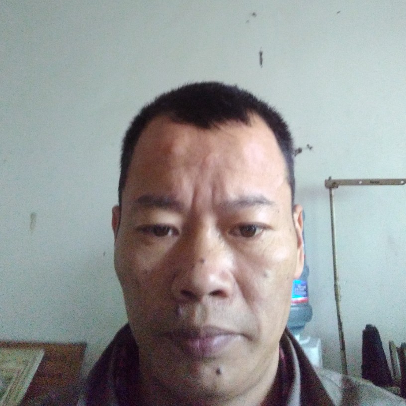 向日葵幸福的照片