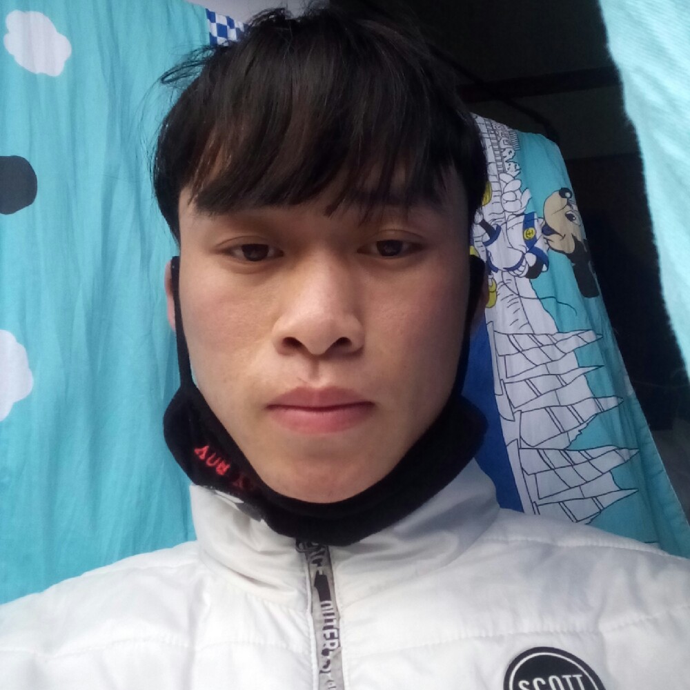 饱满紫菜的照片