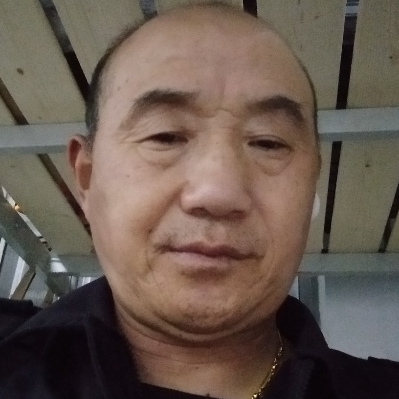 展翅飞翔的大雁的照片