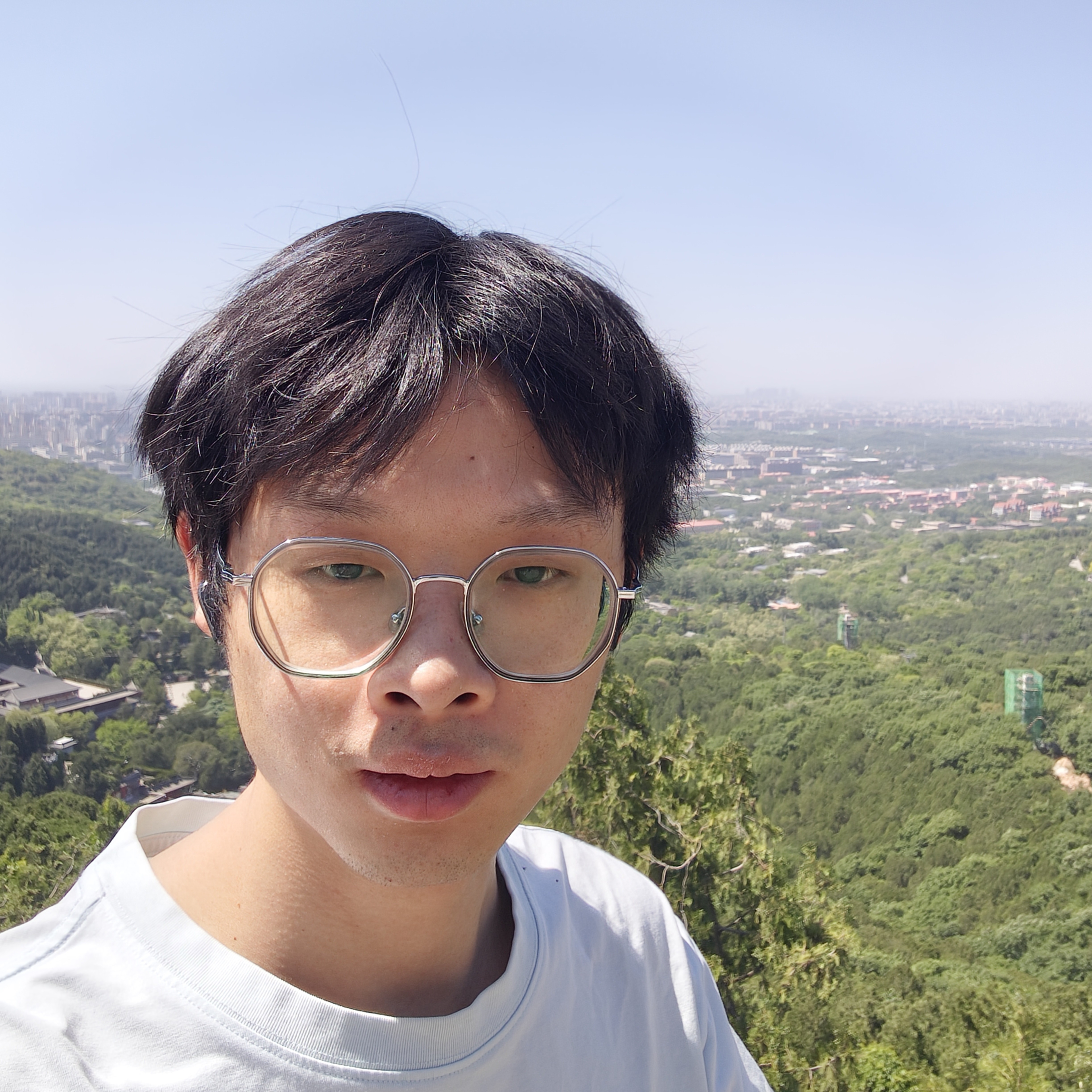 无声de丛林的照片