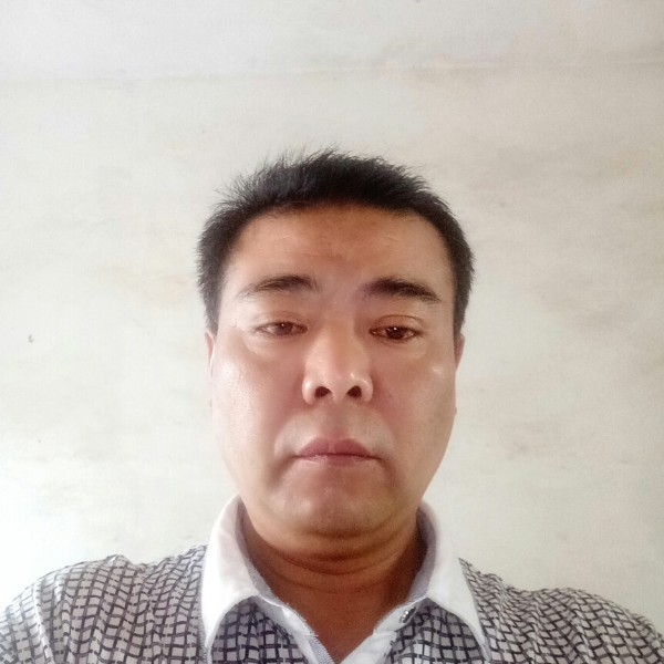 幻灭爱恋灰狼的照片
