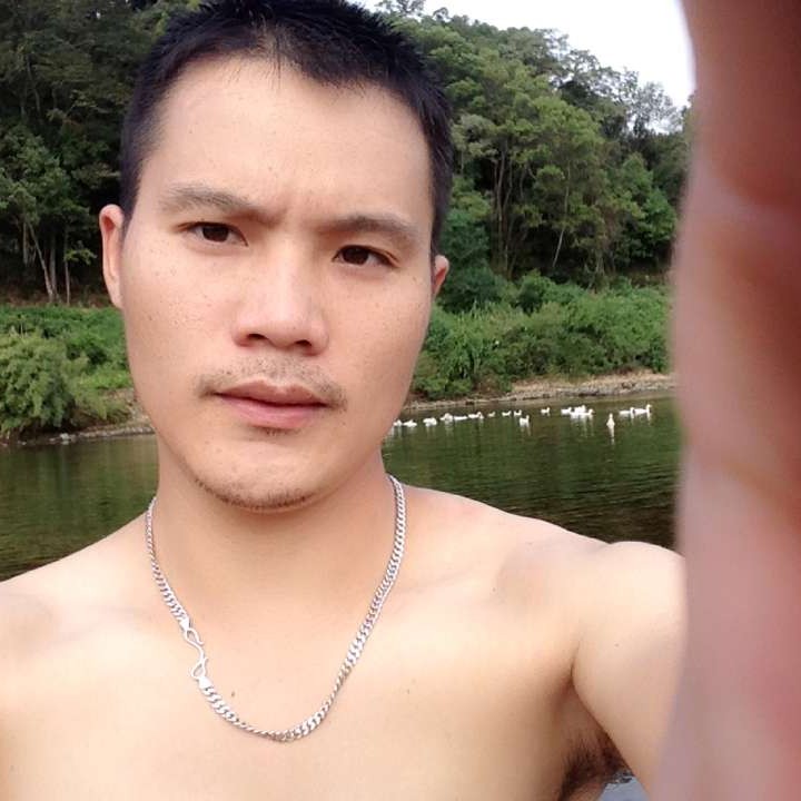 翩飞放弃心情的照片