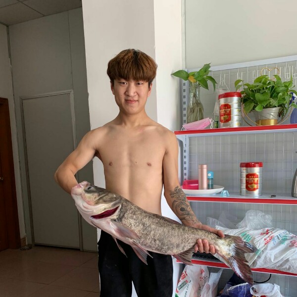 闲的。的照片