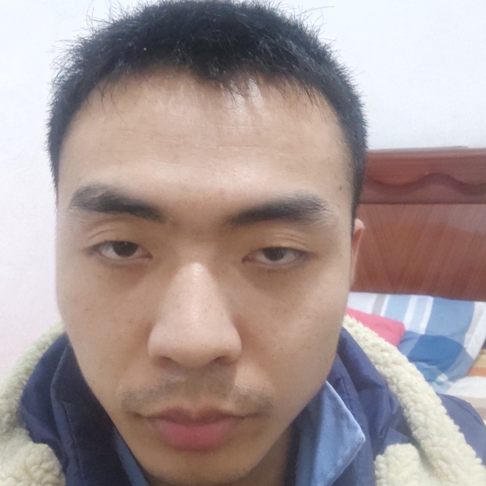 向日葵有现实的照片
