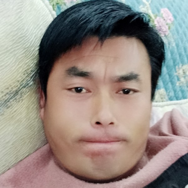 跪下叫哥的照片