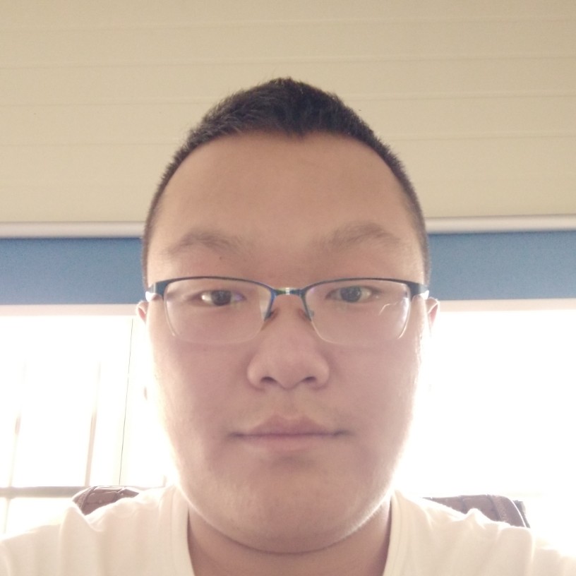 枫叶的照片