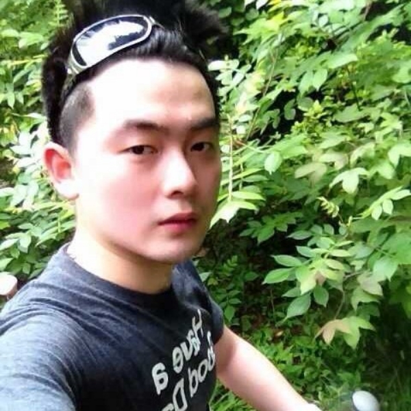 玉米优雅的照片