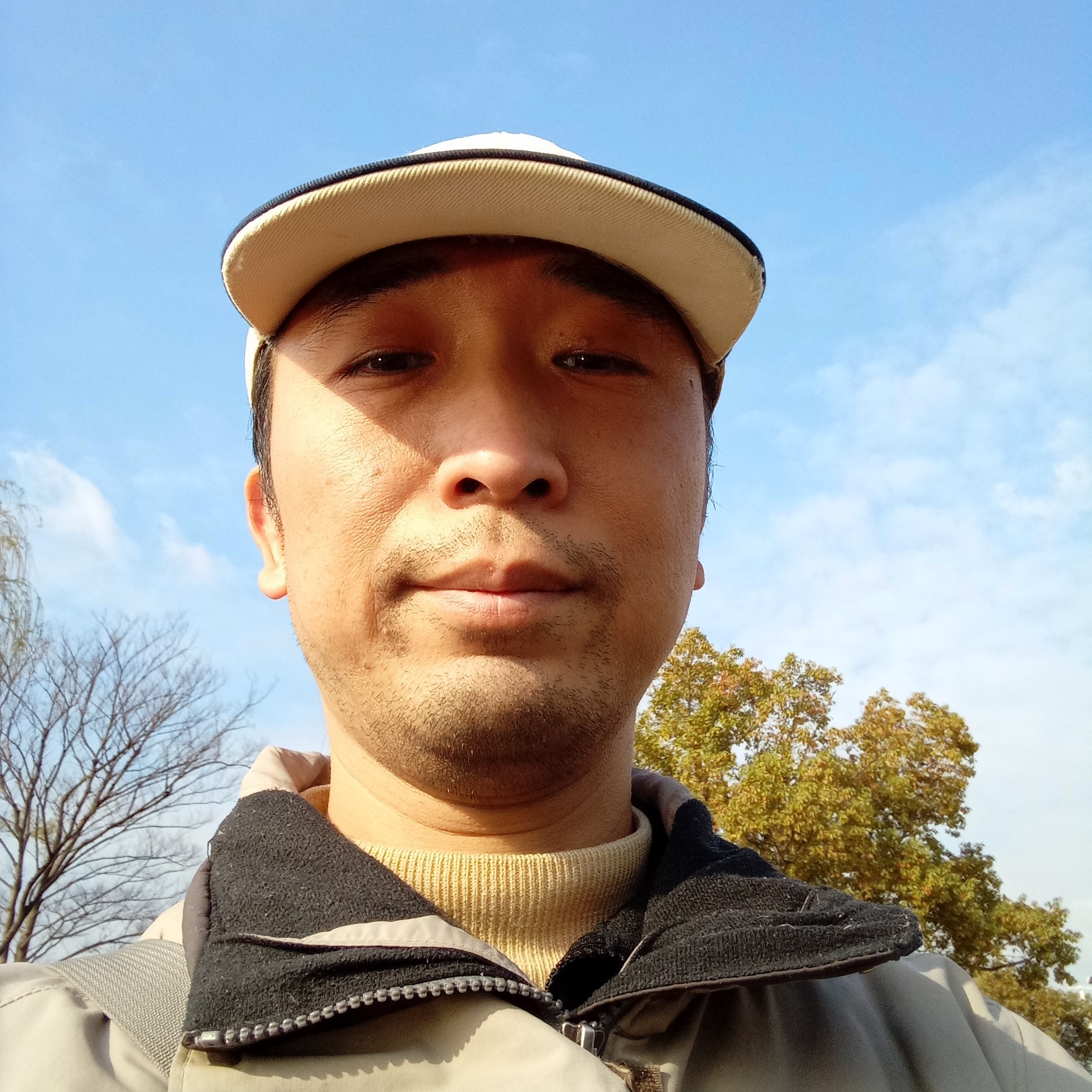大象那畅快的照片