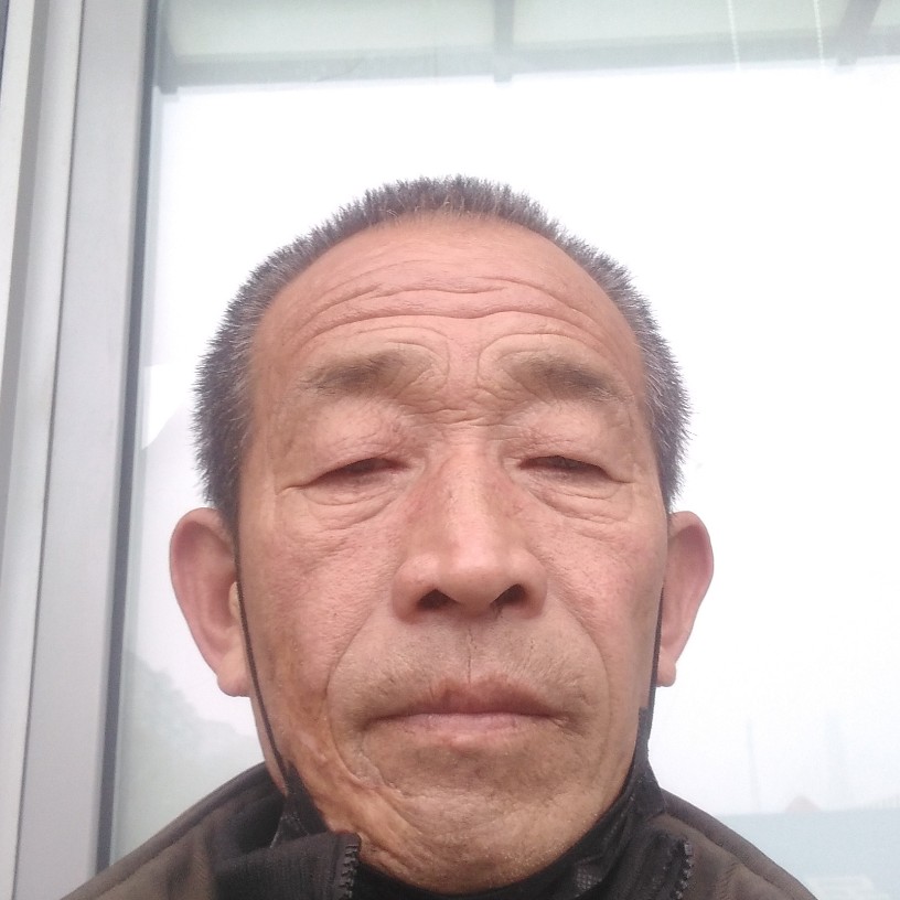纯情与西安的照片