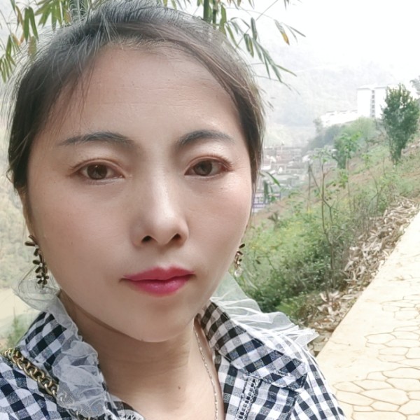 小巧苦恋黄蜂的照片