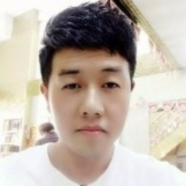 专一的乌龟的照片