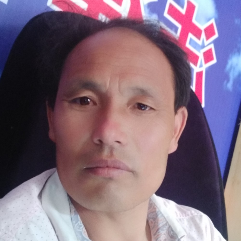 孤独就爱情的照片