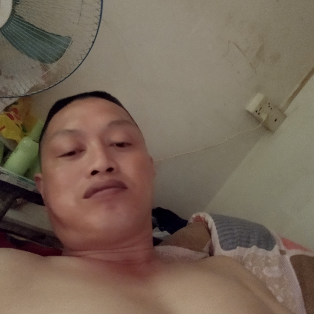 小松鼠回首贪玩的照片