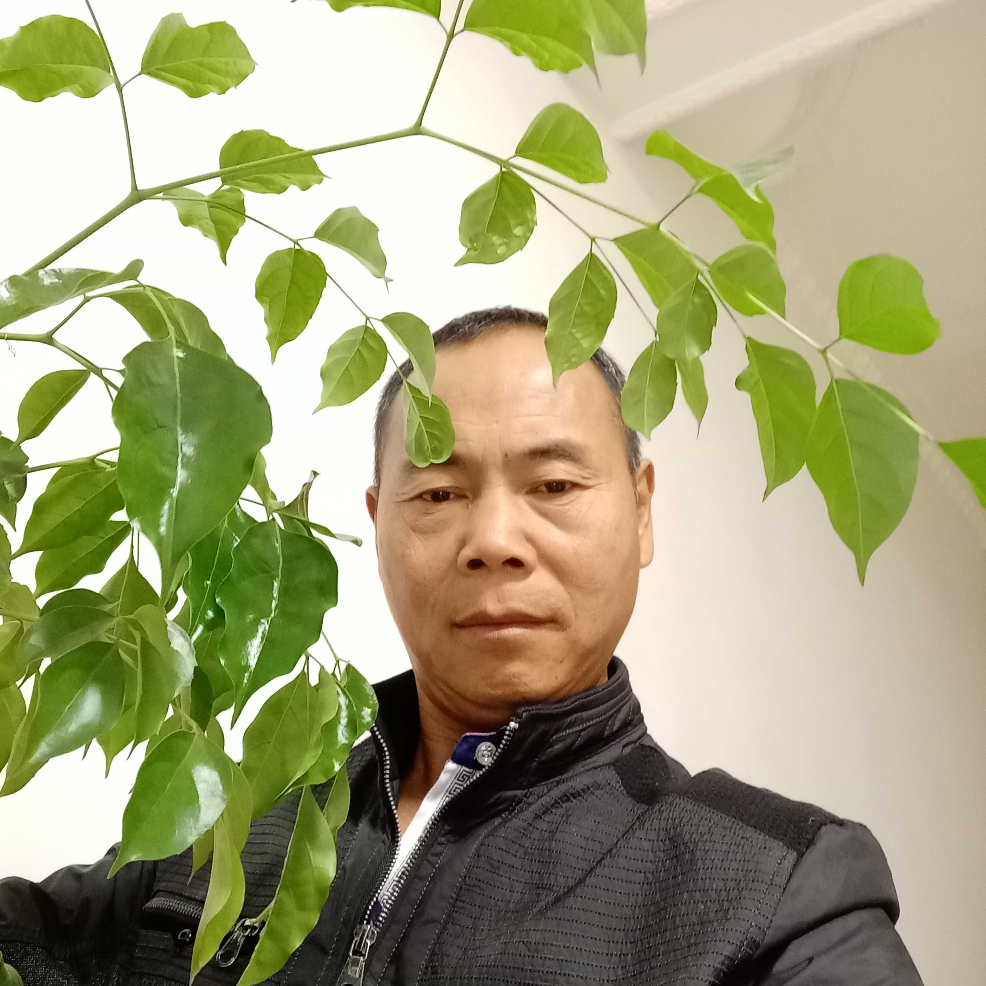 衬衫高高春天的照片
