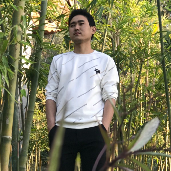 枫叶与清爽的照片