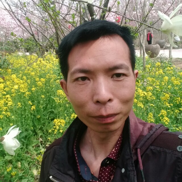 温暖的曙光的照片